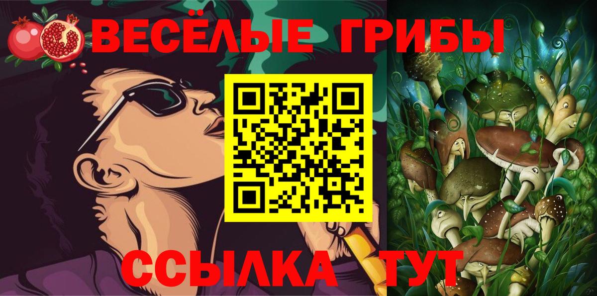Псилоцибиновые грибы GOLDEN TEACHER  Псилоцибиновые грибы MAGIC MUSHROOMS  Вход с VPN  Новокубанск 