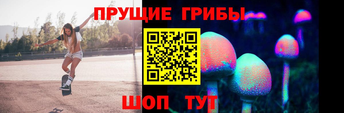 Галлюциногенные грибы Magic Shrooms Новокубанск