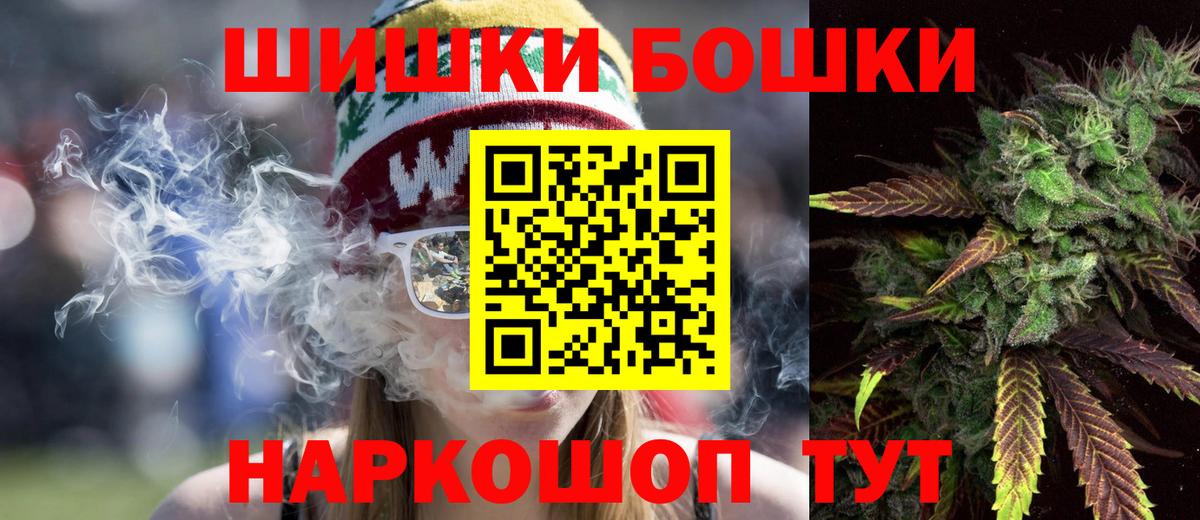 Марихуана сатива Новокубанск